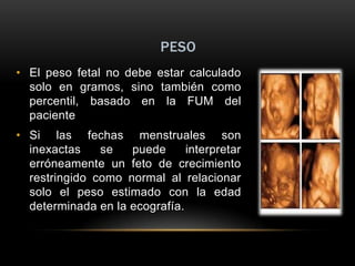 PESO
• El peso fetal no debe estar calculado
  solo en gramos, sino también como
  percentil, basado en la FUM del
  paciente
• Si las fechas menstruales son
  inexactas    se   puede      interpretar
  erróneamente un feto de crecimiento
  restringido como normal al relacionar
  solo el peso estimado con la edad
  determinada en la ecografía.
 