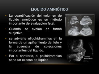 LIQUIDO AMNIÓTICO
• La cuantificación del volumen de
  líquido amniótico es un método
  importante de evaluación fetal.
• Cuando se      evalúa   en   forma
  subjetiva,
• se advierte oligohidramnios en la
  forma de un apiñamiento del feto y
  la   ausencia     de    colecciones
  importantes del líquido.
• Por el contrario, el polihidramnios
  seria un exceso de líquido.
 