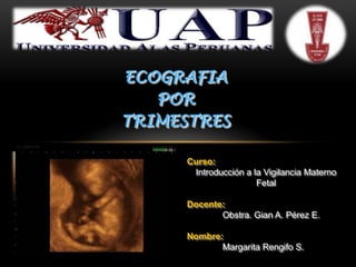 ECOGRAFIA
   POR
TRIMESTRES

      Curso:
       Introducción a la Vigilancia Materno
                       Fetal

      Docente:
             Obstra. Gian A. Pérez E.

      Nombre:
             Margarita Rengifo S.
 