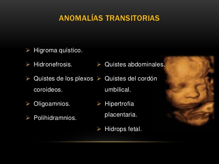 La chinchilla ha adelgazado y han mudado las patas