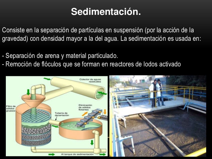 ecologia