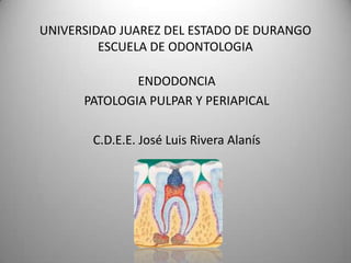 UNIVERSIDAD JUAREZ DEL ESTADO DE DURANGOESCUELA DE ODONTOLOGIA ENDODONCIA  PATOLOGIA PULPAR Y PERIAPICAL C.D.E.E. José Luis Rivera Alanís 