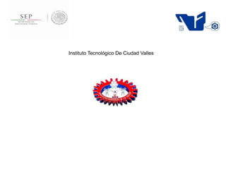 Instituto Tecnológico De Ciudad Valles

 