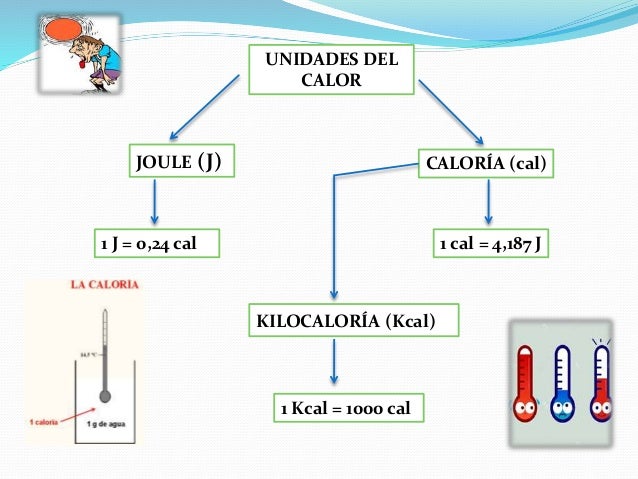 Física- el calor y la temperatura Tema 1-2