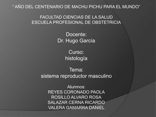“ AÑO DEL CENTENARIO DE MACHU PICHU PARA EL MUNDO”

          FACULTAD CIENCIAS DE LA SALUD
       ESCUELA PROFESIONAL DE OBSTETRICIA

                     Docente:
                 Dr. Hugo García

                     Curso:
                    histología

                       Tema:
           sistema reproductor masculino

                    Alumnos:
             REYES CORONADO PAOLA
              ROSILLO ALVARO ROSA
             SALAZAR CERNA RICARDO
             VALERA GAMARRA DANIEL
 