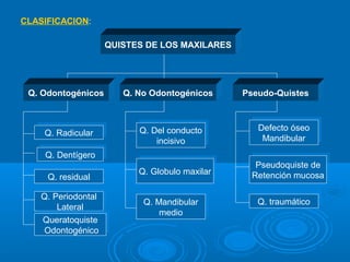 CLASIFICACION:
QUISTES DE LOS MAXILARES
Q. Odontogénicos Q. No Odontogénicos Pseudo-Quistes
Q. RadicularQ. Radicular
Q. DentígeroQ. Dentígero
Q. residualQ. residual
Q. Periodontal
Lateral
Q. Periodontal
Lateral
Queratoquiste
Odontogénico
Queratoquiste
Odontogénico
Q. Del conducto
incisivo
Q. Del conducto
incisivo
Q. Globulo maxilarQ. Globulo maxilar
Q. Mandibular
medio
Q. Mandibular
medio
Pseudoquiste de
Retención mucosa
Pseudoquiste de
Retención mucosa
Q. traumáticoQ. traumático
Defecto óseo
Mandibular
Defecto óseo
Mandibular
 