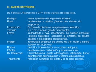 2.- QUISTE DENTÍGERO:
(Q. Folicular), Representa el 24 % de los quistes odontogénicos.
Etiología : restos epiteliales del órgano del esmalte.
Edad : adolecentes o adultos jóvenes con dientes sin
erupcionar.
Localización : Coronas de dientes no erupcionados o retenidos.
Tamaño : 2 a 3 cm o incluso grande crecimientos.
Forma : redondeada u oval, monolocular. Se pueden encontrar
quistes bilaterales asociados al síndrome de células
basales y a la displacia cleidocraneal.
Imagen : radiolúcida alrededor de corona de 3er molar o canino
superior sin erupcionar
Bordes : definidos hiperostósicos con cortical radiopaca.
Efectos : desplazamiento, reabsorción y expansión bucal.
Dx Diferencial : ameloblastoma, quiste odontogénico calcificante, tumor
odontogénico adenomatoide y fibroma ameloblástico.
Tratamiento : resección quirúrgica del diente y de la bolsa quística.
 