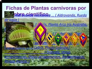Fichas de Plantas carnívoras por
 nombre científico ... ( Aldrovanda, Rueda
    Aldrovanda vesiculosa
de agua )
      Byblis spp. ... ( Byblis, Planta Arco Iris Australia,
Plantas Arcoiris )
      Cephalotus folicularis ... ( Cephalotus, Planta
de jarra de Australia, Jarrito enano )
      Darlingtonia californica ... ( Darlingtonia,
Planta Cobra, Lirio Cobra, Planta Drácula )
                          ... ( Dionaea, Venus
atrapamoscas, Diana atrapamoscas, Atrapamoscas,
Atrapa moscas )
 