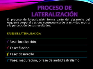 PROCESO DE
LATERALIZACIÓN
El proceso de lateralización forma parte del desarrollo del
esquema corporal y es una consecuencia de la actividad motriz
y la percepción de sus resultados.
FASES DE LATERALIZACION:
1° Fase: localización
2° Fase: fijación
3° Fase: desarrollo
4° Fase: maduración, o fase de ambidiestralismo
 