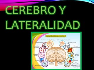 CEREBRO Y
LATERALIDAD
 