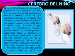 La mente del niño que está en proceso de
organización y estructuración continua,
tiene una base material de la cual depende,
esta es: el CEREBRO. Este es "un lugar
grandísimo encerrado en un espacio muy
reducido", y lo que sucede realmente en
ese pequeño espacio es tan misterioso y
maravilloso, que constituye un gran
desafío al entendimiento humano,
particularmente para los investigadores y
especialistas. Según los neurólogos, el
crecimiento del cerebro humano durante
los tres primeros años de vida es
realmente espectacular. El cerebro del
recién nacido pesa tan sólo 340 gramos, a
los tres años pesa nada menos que un kilo
y doscientos gramos, sólo 200 gramos
menos que el cerebro de un adulto de 20
años.
 