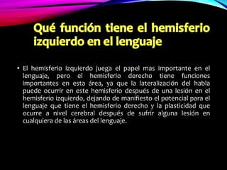 • El hemisferio izquierdo juega el papel mas importante en el
lenguaje, pero el hemisferio derecho tiene funciones
importantes en esta área, ya que la lateralización del habla
puede ocurrir en este hemisferio después de una lesión en el
hemisferio izquierdo, dejando de manifiesto el potencial para el
lenguaje que tiene el hemisferio derecho y la plasticidad que
ocurre a nivel cerebral después de sufrir alguna lesión en
cualquiera de las áreas del lenguaje.
 