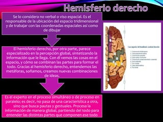 Es el experto en el proceso simultáneo o de proceso en
paralelo; es decir, no pasa de una característica a otra,
sino que busca pautas y gestuales. Procesa la
información de manera global, partiendo del todo para
entender las distintas partes que componen ese todo
El hemisferio derecho, por otra parte, parece
especializado en la percepción global, sintetizando la
información que le llega. Con él vemos las cosas en el
espacio, y cómo se combinan las partes para formar el
todo. Gracias al hemisferio derecho, entendemos las
metáforas, soñamos, creamos nuevas combinaciones
de ideas.
Se lo considera no verbal o viso espacial. Es el
responsable de la ubicación del espacio tridimensional
y de trabajar con las coordenadas espaciales así como
de dibujar
 
