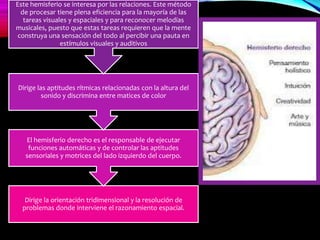 Dirige la orientación tridimensional y la resolución de
problemas donde interviene el razonamiento espacial.
El hemisferio derecho es el responsable de ejecutar
funciones automáticas y de controlar las aptitudes
sensoriales y motrices del lado izquierdo del cuerpo.
Dirige las aptitudes rítmicas relacionadas con la altura del
sonido y discrimina entre matices de color
Este hemisferio se interesa por las relaciones. Este método
de procesar tiene plena eficiencia para la mayoría de las
tareas visuales y espaciales y para reconocer melodías
musicales, puesto que estas tareas requieren que la mente
construya una sensación del todo al percibir una pauta en
estímulos visuales y auditivos
 