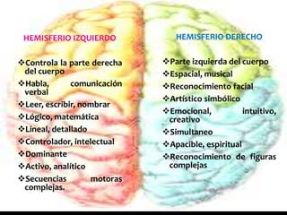 HEMISFERIO IZQUIERDO
Controla la parte derecha
del cuerpo
Habla, comunicación
verbal
Leer, escribir, nombrar
Lógico, matemática
Lineal, detallado
Controlador, intelectual
Dominante
Activo, analítico
Secuencias motoras
complejas.
HEMISFERIO DERECHO
Parte izquierda del cuerpo
Espacial, musical
Reconocimiento facial
Artístico simbólico
Emocional, intuitivo,
creativo
Simultaneo
Apacible, espiritual
Reconocimiento de figuras
complejas
 