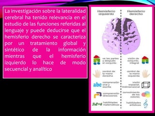 La investigación sobre la lateralidad
cerebral ha tenido relevancia en el
estudio de las funciones referidas al
lenguaje y puede deducirse que el
hemisferio derecho se caracteriza
por un tratamiento global y
sintético de la información
mientras que el hemisferio
izquierdo lo hace de modo
secuencial y analítico
 