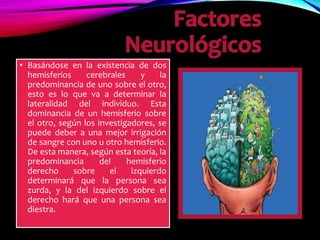 • Basándose en la existencia de dos
hemisferios cerebrales y la
predominancia de uno sobre el otro,
esto es lo que va a determinar la
lateralidad del individuo. Esta
dominancia de un hemisferio sobre
el otro, según los investigadores, se
puede deber a una mejor irrigación
de sangre con uno u otro hemisferio.
De esta manera, según esta teoría, la
predominancia del hemisferio
derecho sobre el izquierdo
determinará que la persona sea
zurda, y la del izquierdo sobre el
derecho hará que una persona sea
diestra.
 