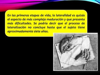 En las primeras etapas de vida, la lateralidad es quizás
el aspecto de más compleja maduración y que presenta
más dificultades. Se podría decir que el proceso de
lateralización no concluye hasta que el sujeto tiene
aproximadamente siete años.
 
