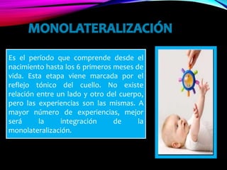 Es el período que comprende desde el
nacimiento hasta los 6 primeros meses de
vida. Esta etapa viene marcada por el
reflejo tónico del cuello. No existe
relación entre un lado y otro del cuerpo,
pero las experiencias son las mismas. A
mayor número de experiencias, mejor
será la integración de la
monolateralización.
 