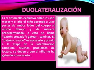Es el desarrollo evolutivo entre los seis
meses y el año el niño aprende a usar
partes de ambos lados del cuerpo al
mismo tiempo y de manera
predeterminada; a esto se llama
“patrón cruzado”: gatear , caminar. El
“patrón cruzado” es necesario y previo
a la etapa de la lateralización
completa. Muchos problemas de
lectura, se deben a que el niño no ha
gateado lo necesario .
 