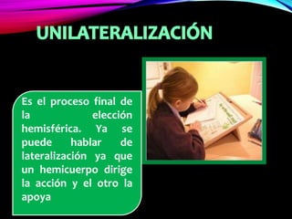 Es el proceso final de
la elección
hemisférica. Ya se
puede hablar de
lateralización ya que
un hemicuerpo dirige
la acción y el otro la
apoya
 