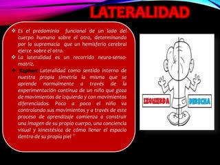 LATERALIDAD
 Es el predominio funcional de un lado del
cuerpo humano sobre el otro, determinando
por la supremacía que un hemisferio cerebral
ejerce sobre el otro.
 La lateralidad es un recorrido neuro-senso-
motriz.
 Kephart Lateralidad como sentido interno de
nuestra propia simetría la misma que se
aprende normalmente a través de la
experimentación continua de un niño que goza
de movimientos de izquierda y con movimientos
diferenciados. Poco a poco el niño va
controlando sus movimientos y a través de este
proceso de aprendizaje comienza a construir
una imagen de su propio cuerpo, una conciencia
visual y kinestésica de cómo llenar el espacio
dentro de su propia piel ``
 