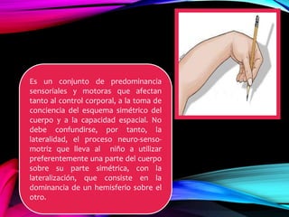 Es un conjunto de predominancia
sensoriales y motoras que afectan
tanto al control corporal, a la toma de
conciencia del esquema simétrico del
cuerpo y a la capacidad espacial. No
debe confundirse, por tanto, la
lateralidad, el proceso neuro-senso-
motriz que lleva al niño a utilizar
preferentemente una parte del cuerpo
sobre su parte simétrica, con la
lateralización, que consiste en la
dominancia de un hemisferio sobre el
otro.
 