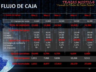 1. Detalle de Ingreso              Mes 1      Mes 2     Mes 3       Mes 4      Mes 5

         1.1. Ingresos por venta     15,660    13,860      16,560     16,920     16,380

       TOTAL DE INGRESOS 15,660               13,860    16,560      16,920     16,380

      2. Detalles de Egreso
2.1 Luz                              110.00    90.00       100.00     120.00     130.00
2.2 Agua                             55.00     45.00        65.00     75.00      80.00
2.3 Teléfono                         34.00     34.00        34.00     34.00      34.00
      Egresos en Consumo            199.00    169.00       199.00     229.00    244.00
2.4 Compra de mercadería             11,025    3,200        3,100      3,000     3,200
2.5 Salarios                          3,375    3,375        3,375      3,375     3,375
2.6 Impuestos                          50       50            50        50        50


        Egresos operativos 14,649             6,794     6,724       6,654      6,869
            Total de Egresos 1,011            7,066     9,836       10,266     9,511

          Saldo Acumulado 1,011               8,077     17,913      28,179     37,690
                                                                                  12
 