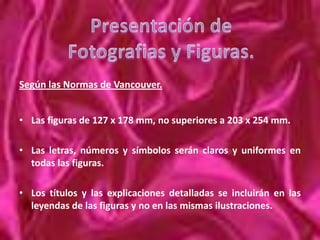 Está formado por rectángulos unidos a otros.