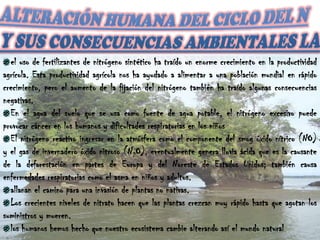 AMONIFICACIÓN La Amonificación es la conversión a ion amonio del nitrógeno que en la materia viva aparece principalmente como grupos amino (-NH2) o imino (-NH-). 
