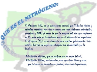 Que es el nitrógeno:El Nitrógeno (N), es un componente esencial que Todas las plantas y animales necesitan para vivir y crecer con este elaborara aminoácidos, proteínas y DNA. A pesar de que la mayoría del aire que respiramos es N2, este esta en la atmósfera mas no al alcance de los organismos.El nitrógeno (N2), es un elemento poco reactivo químicamente. Solo existen dos vías para que ese nitrógeno sea aprovechable por la biosfera:  la fijación abiótica, que se produce con los rayos del sol.