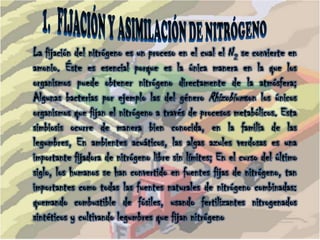 PROCESOS PRINCIPALES DEL CICLO DEL NITRÓGENOLos procesos principales que componen el ciclo del nitrógeno que pasa por la bioesfera, la atmósfera y la geoesfera son cinco: 1. la fijación del nitrógeno2. la toma de nitrógeno (crecimiento de organismos) 3. la mineralización del nitrógeno (desintegracion)4. la nitrificación 5. la denitrificación. 