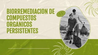 BIORREMEDIACION DE
COMPUESTOS
ORGANICOS
PERSISTENTES
 