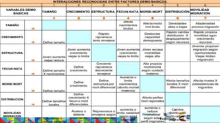 Did You
Know This?
Factor 1
35%
Mercury is the
smallest one
65%
Jupiter is the
biggest one
Factor 2 Factor 3
 