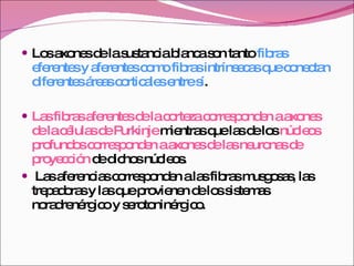 Los axones de la sustancia blanca son tanto  fibras eferentes y aferentes como fibras intrínsecas que conectan diferentes áreas corticales entre sí .  Las fibras aferentes de la corteza corresponden a axones de la células de Purkinje  mientras que las de los  núcleos profundos corresponden a axones de las neuronas de proyección  de dichos núcleos. Las aferencias corresponden a las fibras musgosas, las trepadoras y las que provienen de los sistemas noradrenérgico y serotoninérgico. 