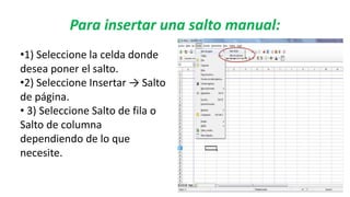 Para insertar una salto manual:
•1) Seleccione la celda donde
desea poner el salto.
•2) Seleccione Insertar → Salto
de página.
• 3) Seleccione Salto de fila o
Salto de columna
dependiendo de lo que
necesite.
 