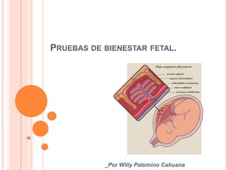 Pruebas de bienestar fetal. _Por Willy Palomino Cahuana 