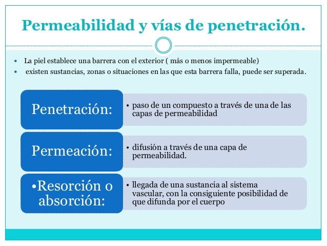 2018 córneo grasa 2018 córneo grasa