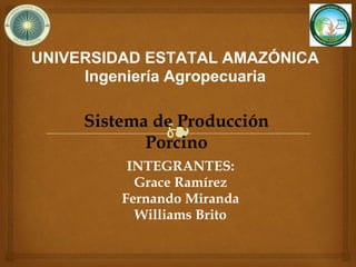 ❧
UNIVERSIDAD ESTATAL AMAZÓNICA
Ingeniería Agropecuaria
Sistema de Producción
Porcino
INTEGRANTES:
Grace Ramírez
Fernando Miranda
Williams Brito
 