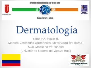 Dermatología
Fernely A. Plazas H.
Medico Veterinario Zootecnista (Universidad del Tolima)
MSc. Medicina Veterinaria
(Universidad Federal de Viçosa-Brasil)
 