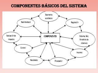 COMPONENTES BÁSICOS DEL SISTEMA