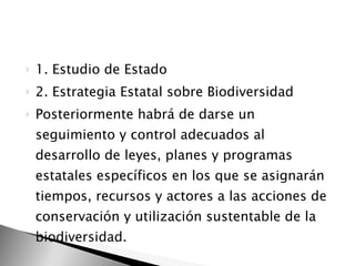 1. Estudio de Estado  2. Estrategia Estatal sobre Biodiversidad  Posteriormente habrá de darse un seguimiento y control adecuados al desarrollo de leyes, planes y programas estatales específicos en los que se asignarán tiempos, recursos y actores a las acciones de conservación y utilización sustentable de la biodiversidad. 
