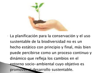 La planificación para la conservación y el uso sustentable de la biodiversidad no es un hecho estático con principio y final, más bien puede percibirse como un proceso continuo y dinámico que refleja los cambios en el entorno socio-ambiental cuyo objetivo es promover el desarrollo sustentable.  