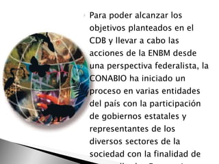 Para poder alcanzar los objetivos planteados en el CDB y llevar a cabo las acciones de la ENBM desde una perspectiva federalista, la CONABIO ha iniciado un proceso en varias entidades del país con la participación de gobiernos estatales y representantes de los diversos sectores de la sociedad con la finalidad de desarrollar las Estrategias Estatales sobre Biodiversidad (EEB).  