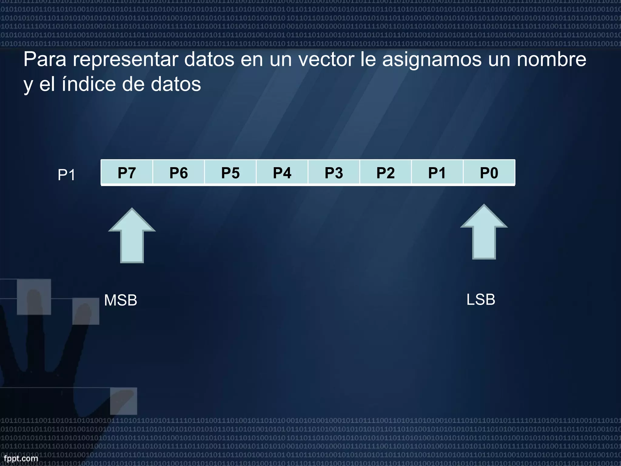 Para representar datos en un vector le asignamos un nombre y el índice de datos  P1 MSB LSB P7 P6 P5 P4 P3 P2 P1 P0 