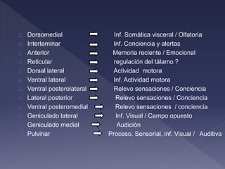  Dorsomedial Inf. Somática visceral / Olfatoria
 Interlaminar Inf. Conciencia y alertas
 Anterior Memoria reciente / Emocional
 Reticular regulación del tálamo ?
 Dorsal lateral Actividad motora
 Ventral lateral Inf. Actividad motora
 Ventral posterolateral Relevo sensaciones / Conciencia
 Lateral posterior Relevo sensaciones / Conciencia
 Ventral posteromedial Relevo sensaciones / conciencia
 Geniculado lateral Inf. Visual / Campo opuesto
 Geniculado medial Audición
 Pulvinar Proceso. Sensorial, inf. Visual / Auditiva
 