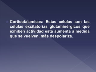  Corticotalamicas: Estas células son las
células excitatorias glutaminérgicos que
exhiben actividad esta aumenta a medida
que se vuelven, más despolariza.
 