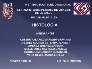 INSTITUTO POLITECNICO NACIONAL
CENTRO INTERDICIPLINARIO DE CIENCIAS
DE LA SALUD
HISTOLOGÍA
UNIDAD MILPA ALTA
INTEGRANTES:
CASTRO PALAFOX MARIONN GIOVANNA
JIMENEZ ALONSO BETSAIDA JEANETT
JIMENEZ JIMENEZ MARIANA
MELQUIADES CASTILLO DANIELA
RODRIGUEZ GARIBAY ELIZABETH
VEGA OLMOS MARIA ESTELA
GENERACION: 37 LIC. EN NUTRICION
 