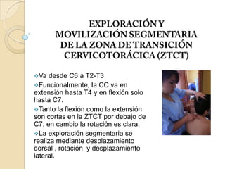 Va desde C6 a T2-T3
Funcionalmente, la CC va en
extensión hasta T4 y en flexión solo
hasta C7.
Tanto la flexión como la extensión
son cortas en la ZTCT por debajo de
C7, en cambio la rotación es clara.
La exploración segmentaria se
realiza mediante desplazamiento
dorsal , rotación y desplazamiento
lateral.
 