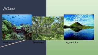 Hábitat
Marinos Terrestres Agua dulce
 